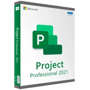 microsoft project 2021 professional license